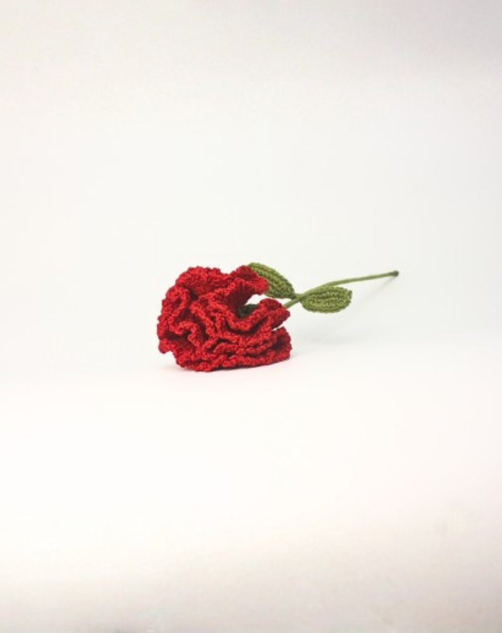 Affirmation Duo - Carnation