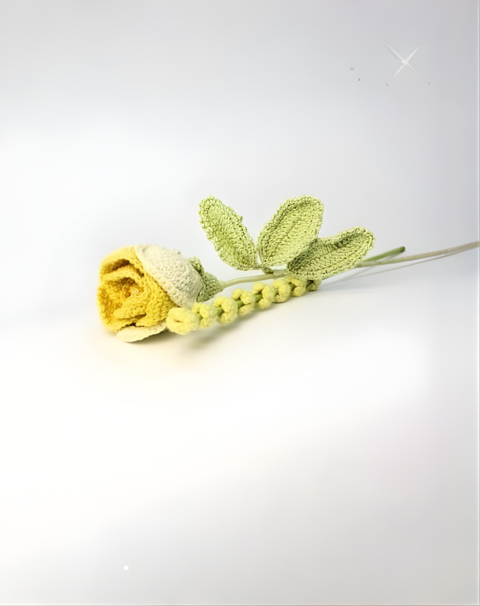 Affirmation Duo - Rose