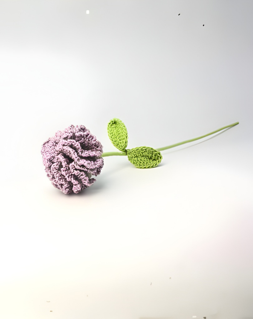 Affirmation Duo - Lavender