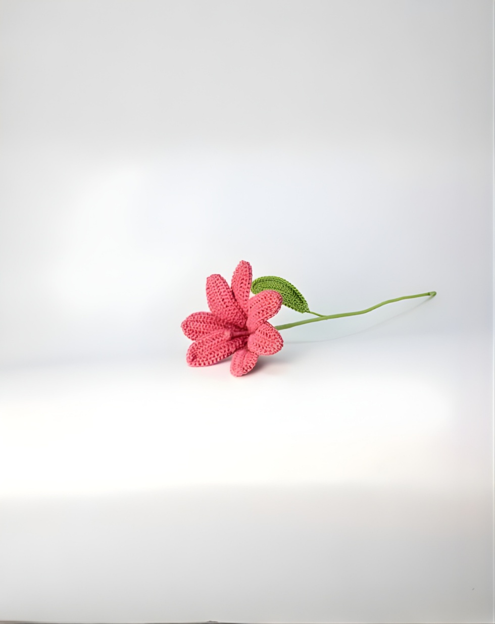 Affirmation Duo - Daisy