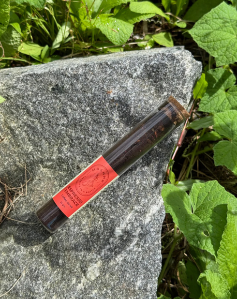 The Essential Box By Mushhk