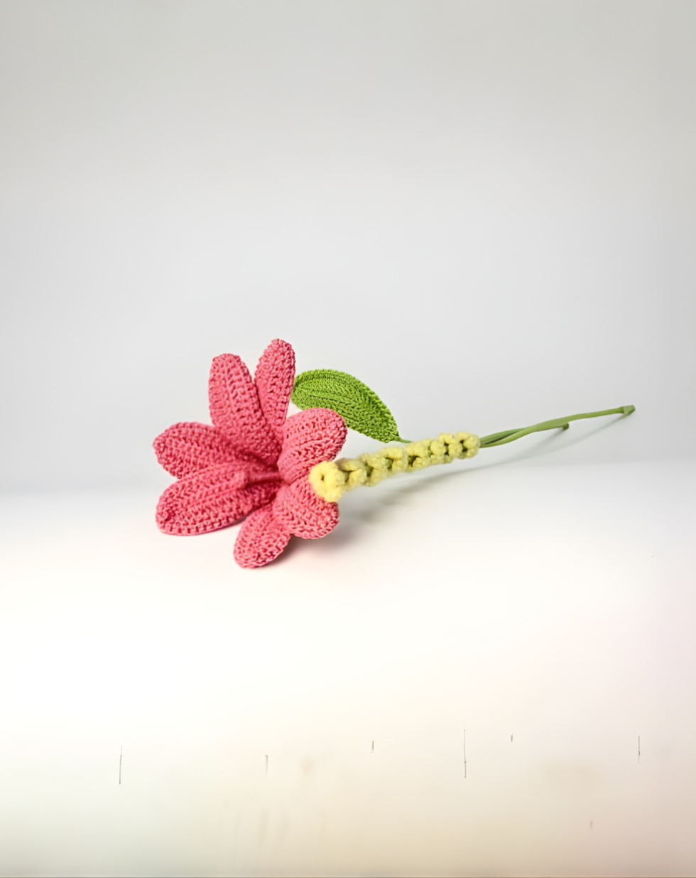 Affirmation Duo - Daisy