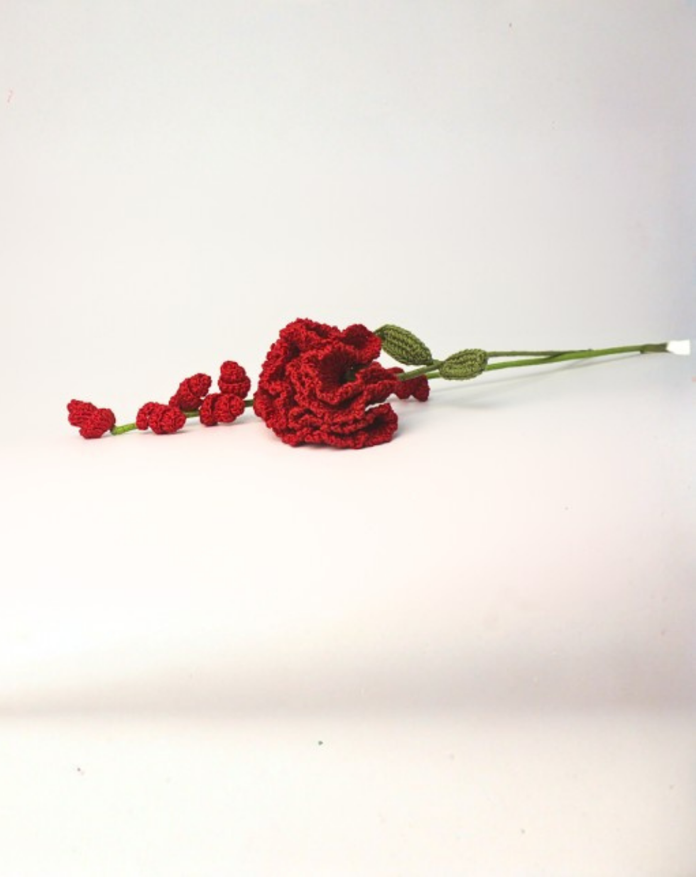 Affirmation Duo - Carnation