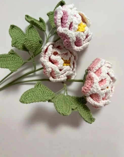 Affirmation Stem - Peony