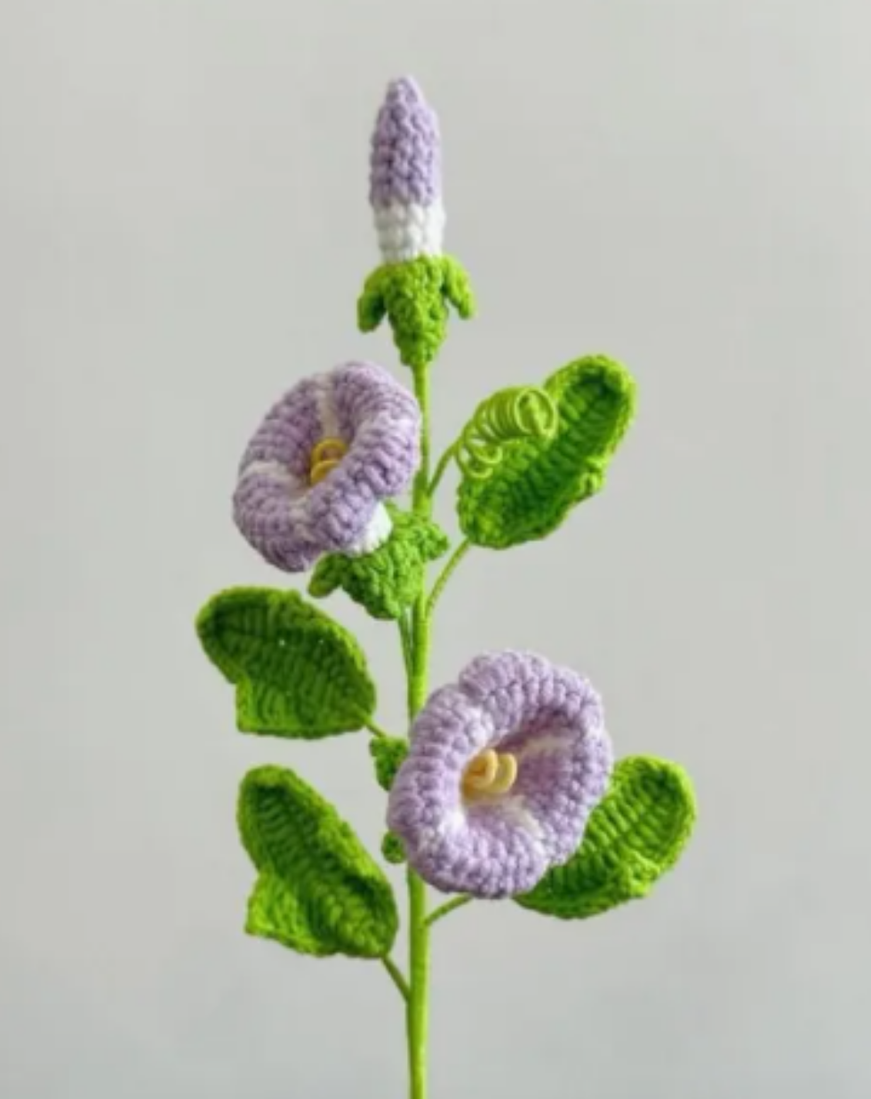 Affirmation Stem - Morning Glory