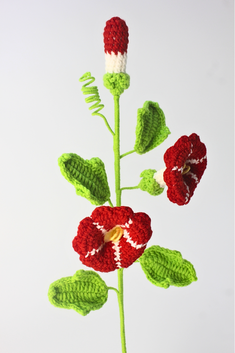 Affirmation Stem - Morning Glory