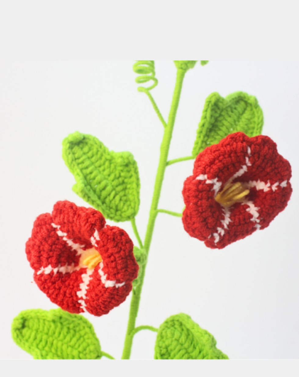 Affirmation Stem - Morning Glory