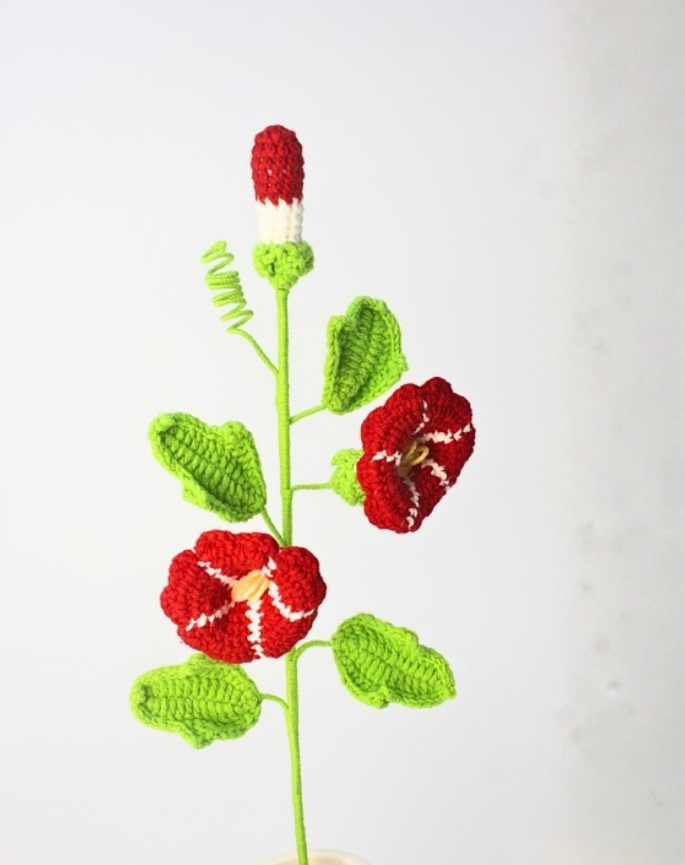 Affirmation Stem - Morning Glory