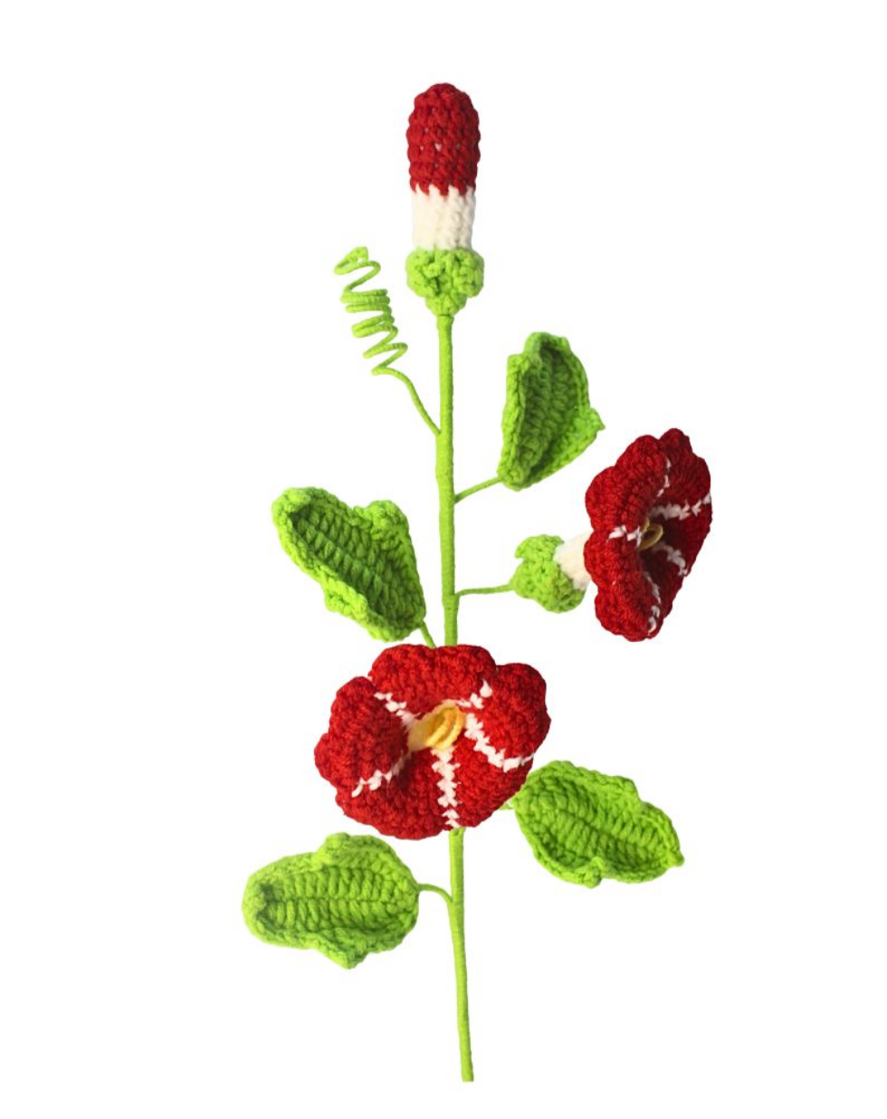 Affirmation Stem - Morning Glory